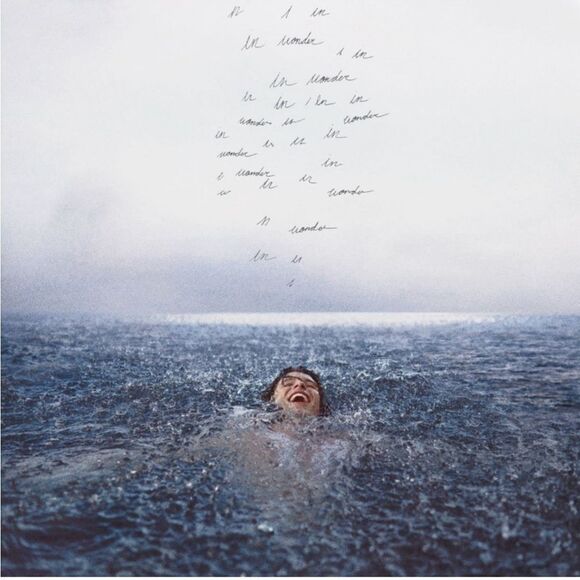 NWT Shawn Mendes Wonder‎ Vinyl - Picture 2 of 7